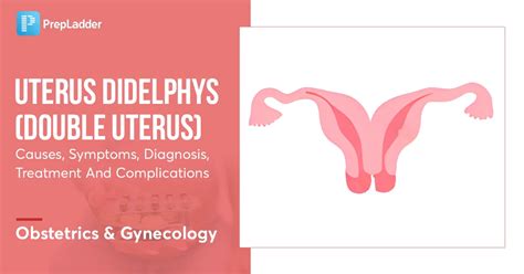 can you have 2 vaginas|Uterus Didelphys: Causes, Symptoms, Diagnosis & Treatment